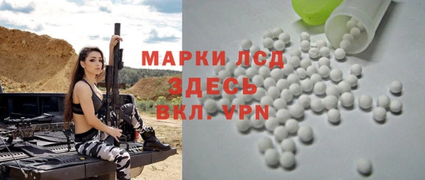 сатива Новодвинск