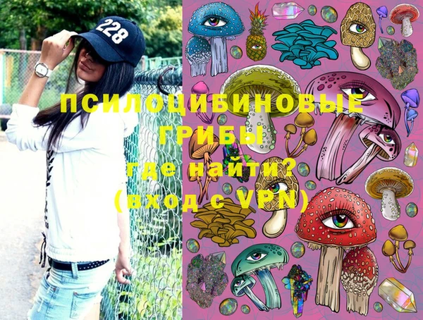 мдма Новозыбков