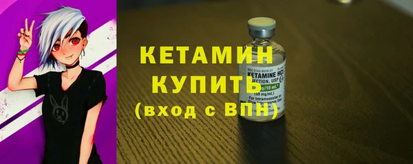 сатива Новодвинск