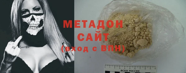 сатива Новодвинск