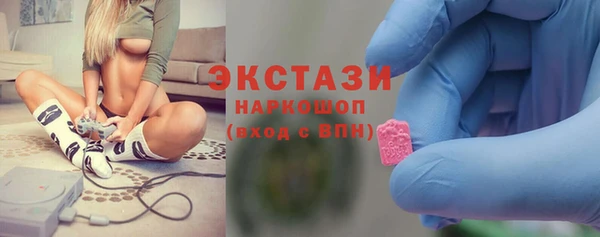 сатива Новодвинск