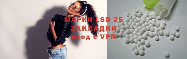 сатива Новодвинск