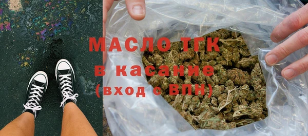 сатива Новодвинск