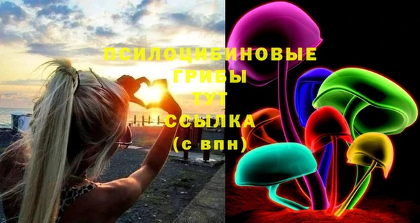 мдпв Новокубанск