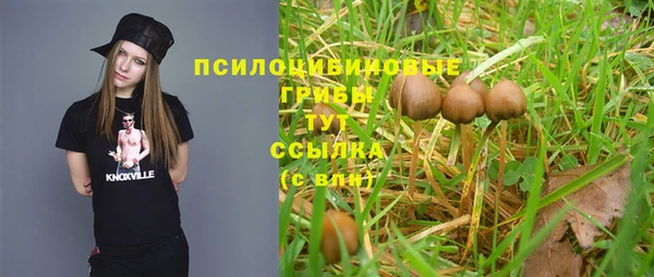 мдма Новозыбков