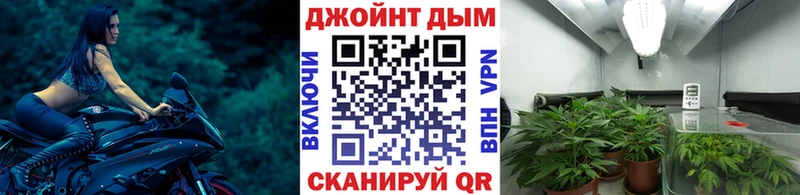 МАРИХУАНА марихуана где купить Лодейное Поле